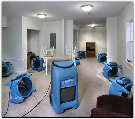 Water Damage Restoration services in Newport, TN