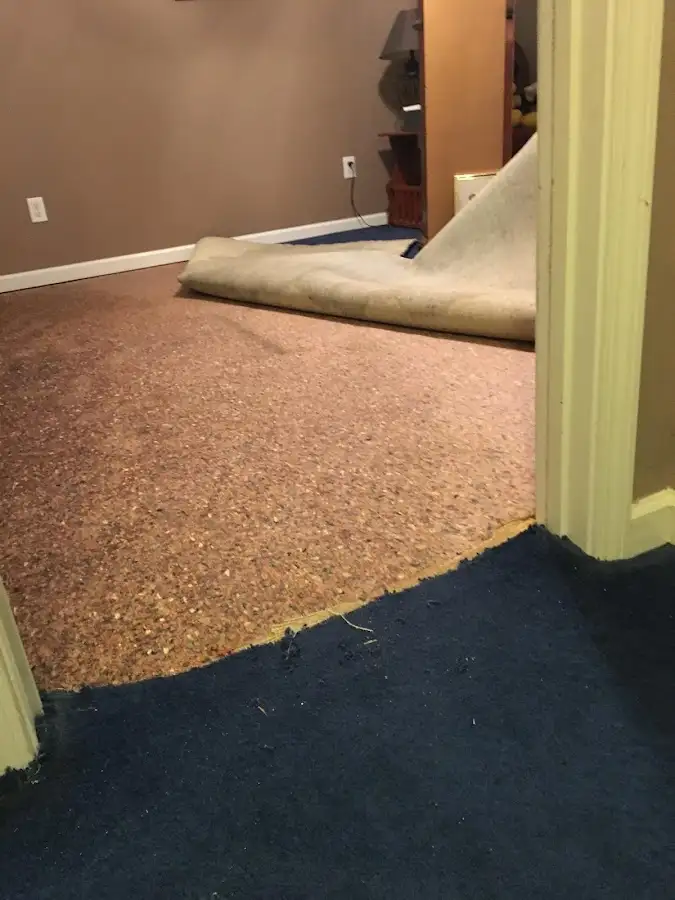 Carpet pad removal revealing water damage during Water Mitigation Services in Newport