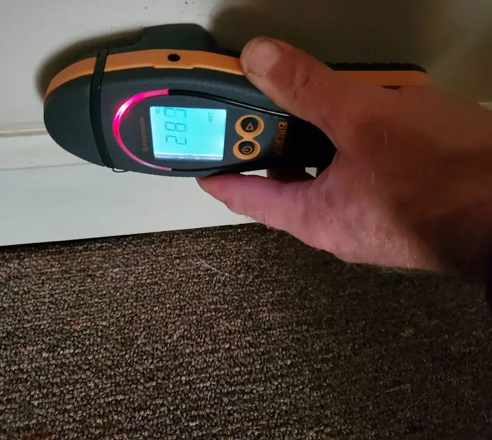 Moisture detection at baseboard during Burst Pipe Cleanup in Newport
